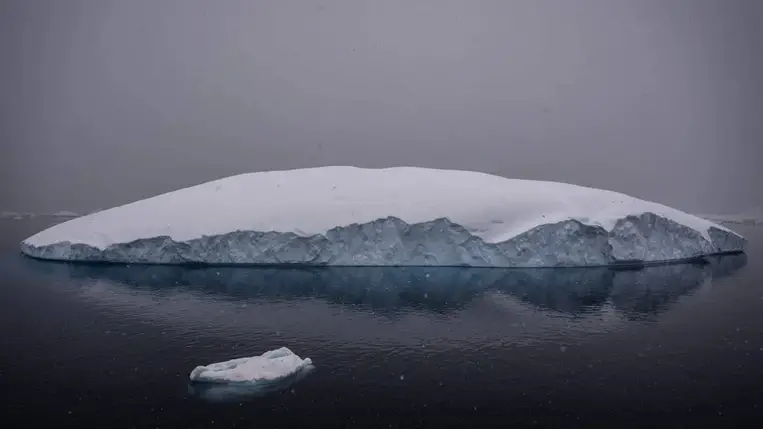 Titokzatos lények bukkantak elő egy leszakadó antarktiszi jéghegy alól 