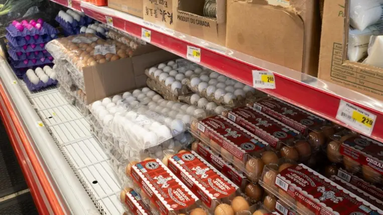 Egy oaklandi élelmiszer-áruház 2024. augusztus 14-én (Fotó: MTI/EPA/John G. Mabanglo)