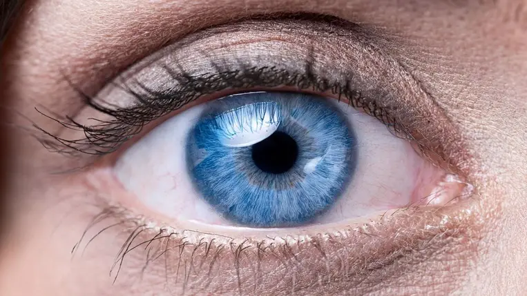 Új áttörés a látás helyreállításában: kifejlesztettek egy gyógyszert, amely visszafordíthatja a vakságot. Illusztráció (Forrás: Shutterstock)