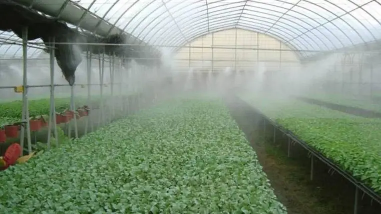 Új utakon a fóliasátras zöldségtermesztésben, avagy megoldások a talajproblémákra (7.)