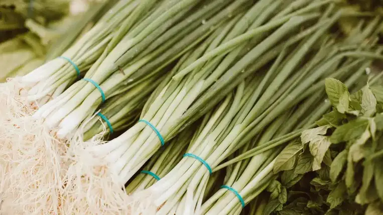 A tavasz kedvence, az újhagyma. Már a közelében is pusztulnak a kórokozók! 