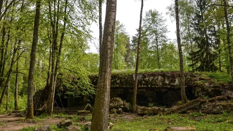 Valódi Indiana Jones-kaland: Náci aranykincs nyomára bukkantak Lengyelországban. Illusztráció. Fotó: Internet