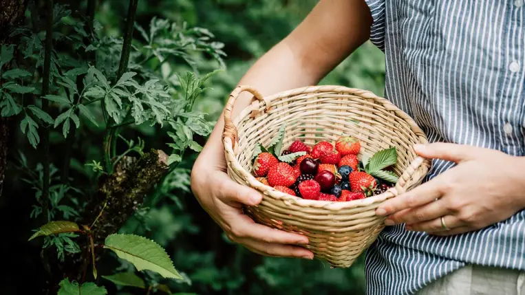 Vízhajtó hatású gyümölcsök és zöldségek a karcsúbb vonalakért