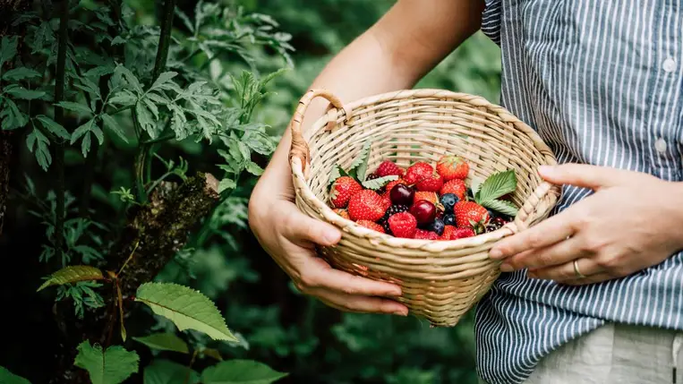 Vízhajtó hatású gyümölcsök és zöldségek a karcsúbb vonalakért