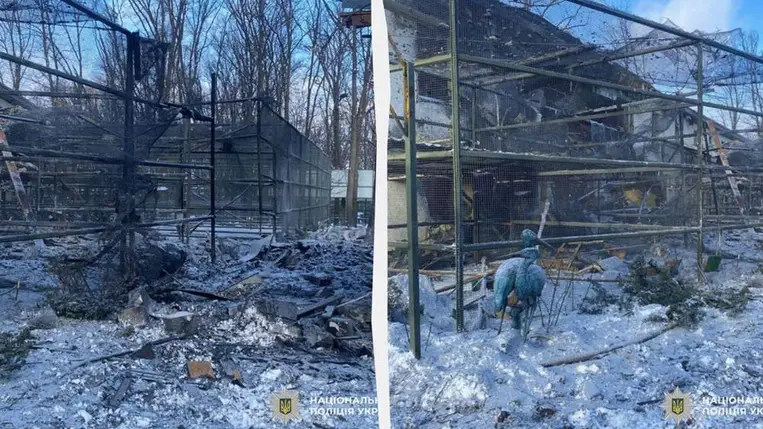 Eltaláltak egy harvkivi állatkertet, többen megsérültek. Fotó: t.me/police_kh_region