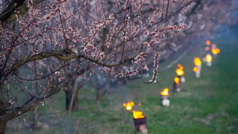 Jönnek a fagyos hajnalok - Sokféleképpen készülnek a gazdák