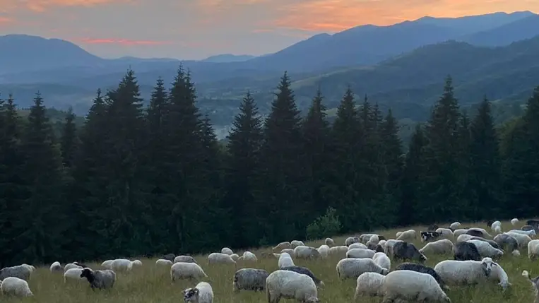 Két kárpátaljai falu bekerült a világ legjobb turisztikai falvainak listájába