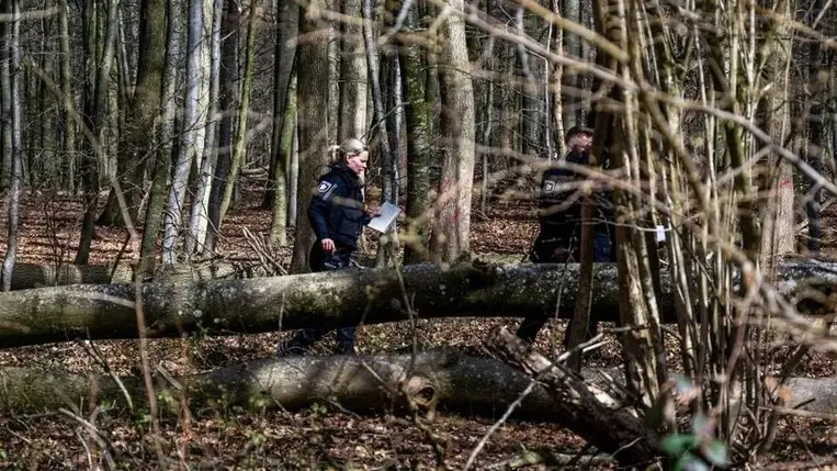 Baleset Németországban: húsvéti tojásokat kereső csoportra dőlt egy fa, többen meghaltak Fotó: BENJAMIN NOLTE / DPA