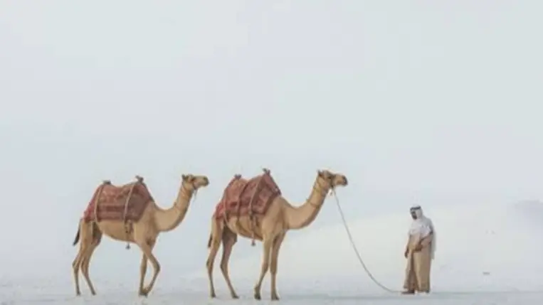 Szinte hihetetlen: havazott egy szaúdi sivatagban. Fotó: facebook.com/unbreality17