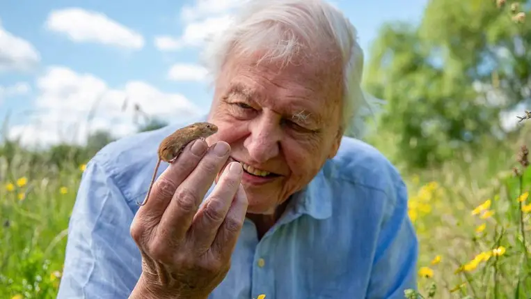Holnapután a 100. születésnapját ünnepli David Attenborough. Fotó: BBC