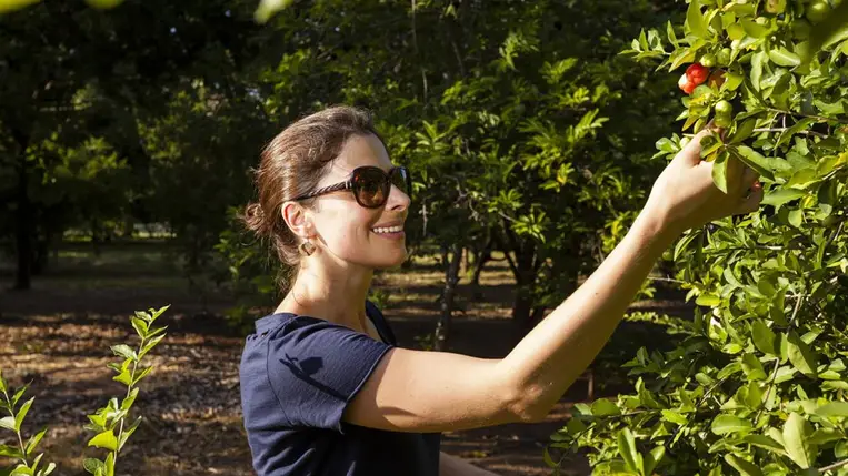 Fantasztikus szívvédő hatása van ennek a gyümölcsnek: egyetlen kis bogyó elég belőle
