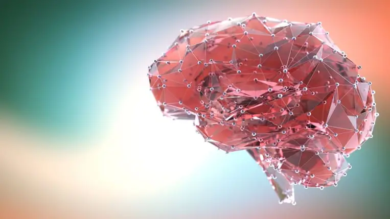 Az orvosok egyetértenek: ez a szokás lassítja az agy öregedését