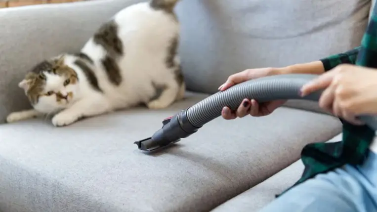 Így szabadíthatod meg az otthonodat a portól és az allergénektől hosszú hetekre