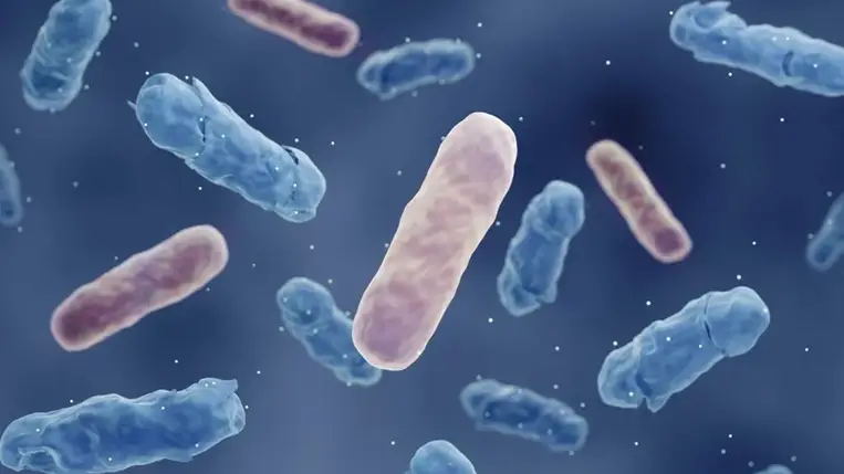 Az eddigieknél 100-szor erősebb antibiotikumot fedeztek fel!