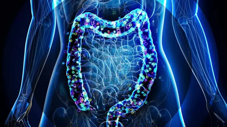 Ettől a tápanyagtól újjászületik a bélrendszer