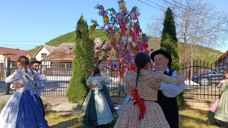 Májusfaállítás a Tulipán Tanoda hálózatában