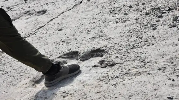 Tudományos felfedezések: 2025-ben dinoszauruszok, ősi lángok és kozmikus titkok hozták lázba a világot. Fotó: MERDAN VELHANOV / ANADOLU AGENCY