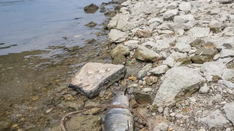 Történelmi mélyponton a Duna vízszintje 