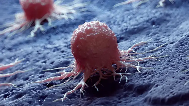 Sokkoló: ez a mindennapi vitamin a daganatos sejtek titkos fegyvere