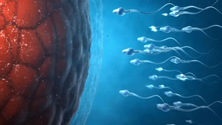 Valóban nő a betegségek kockázata, ha 40 felett vállalnak a férfiak gyereket?