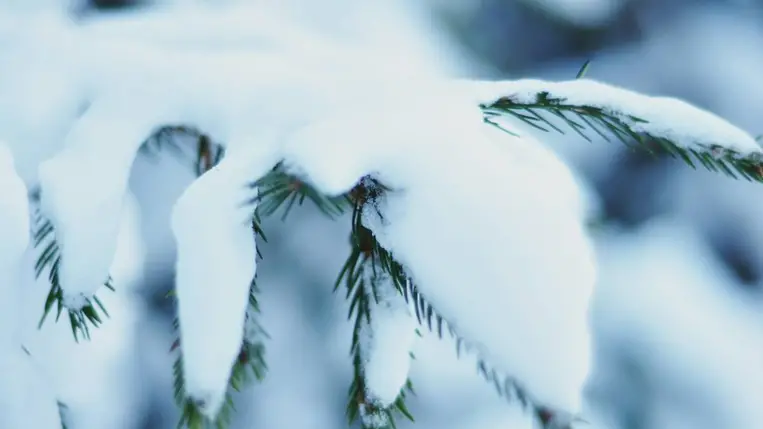 A csoda mindig csendben történik. Illusztráció. Fotó: unsplash