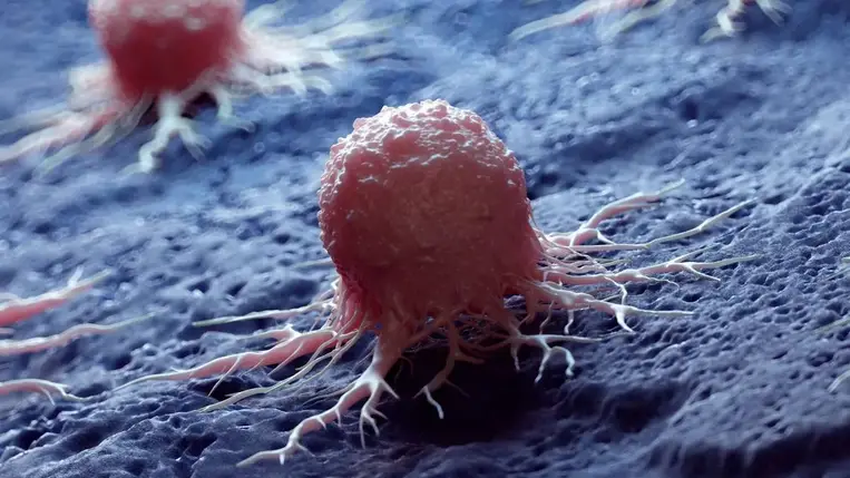 A rákgének kikapcsolása egy újonnan felfedezett eljárás révén végleges megoldást kínálhat a sejtek kontrollálatlan növekedésére. Fotó: 3DMEDISPHERE/SCIENCE PHOTO LIBRA / SKX