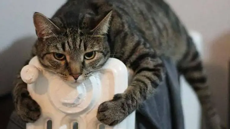 Fűtés. Illusztráció. Fotó: Internet