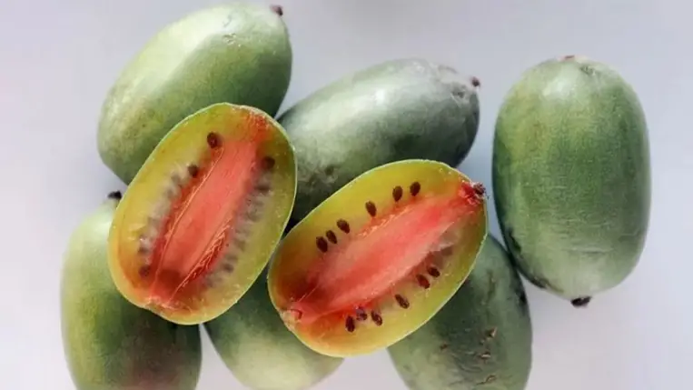 Alig ismerik, pedig a tüdőrák ellenszere lehet ez a gyümölcs