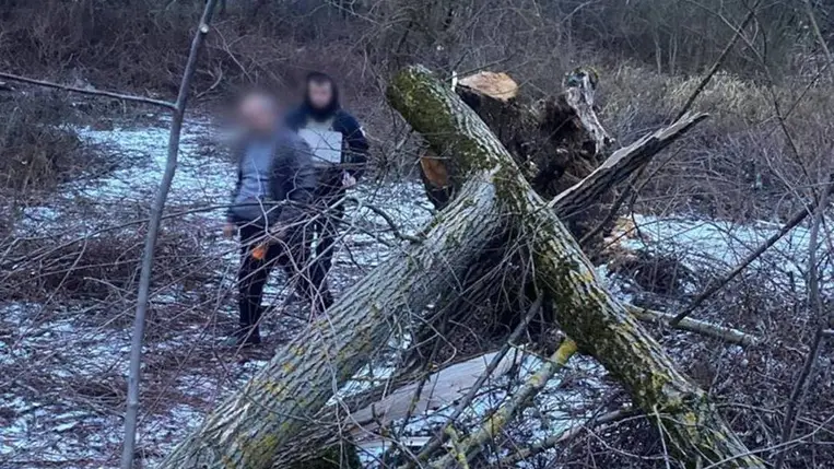 A rendőrség vizsgálja egy 8 éves kislány halálát, akire fa dőlt a Munkácsi járás egyik településén. Fotó: Ukrán Nemzeti Rendőrség