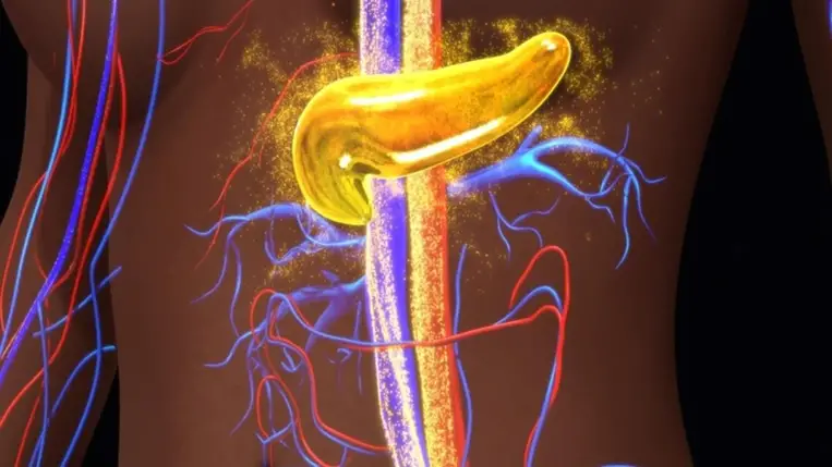 Így jelez a hasnyálmirigy, ha valami nincs rendben