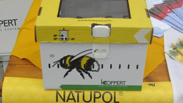 Poszméhek alkalmazása a hajtatásban