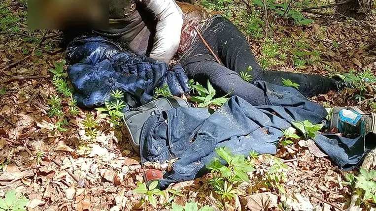 Tragédia a nyugati határon: holtan találtak egy ukrán férfit. Fotó: DPSZU