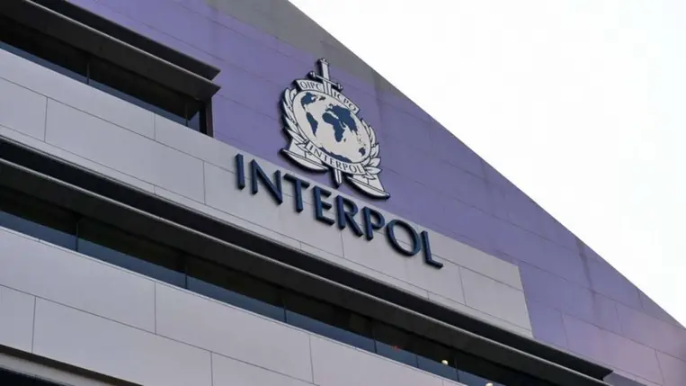 Interpol. Illusztráció