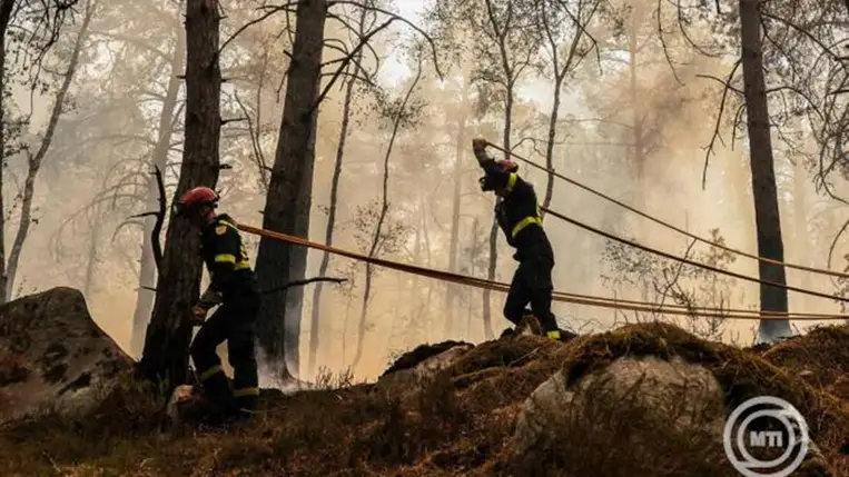 Tűzoltók locsolótömlőket vonszolnak a fontainebleau-i erdőben, a Párizstól mintegy ötven kilométerre levő Noisy-sur-École közelében 2026. július 13-án. A lángok az előző napon lobbantak fel, és gyorsan terjednek a szárazság és a meleg miatt. Laurent Nunez francia belügyminiszter szerint az erdőtüzet szándékos gyújtogatás okozhatta. MTI/EPA/Gauthier Bedrignans