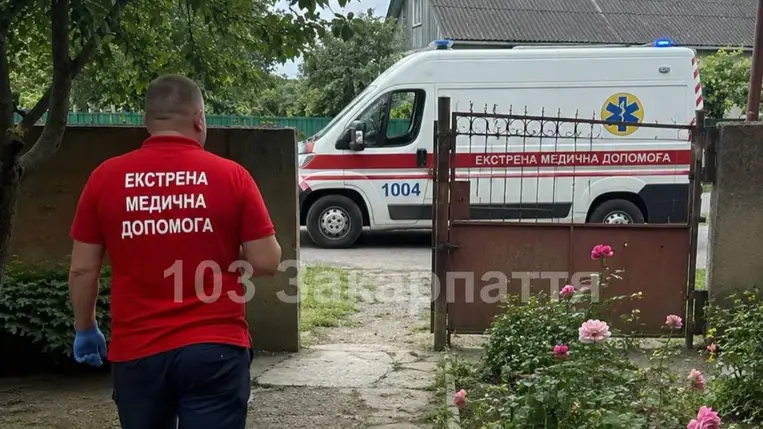 Tragédia Visken: egy 51 éves férfi életét vesztette, miután leesett egy fáról. Illusztráció. Fotó: facebook.com/103zakarpat