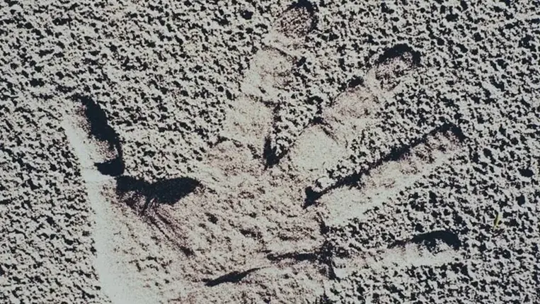 Kiderült, mi a hatodik érzék – mi is rendelkezünk vele