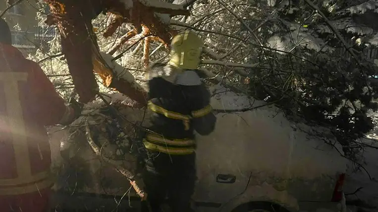 Autókra dőlt fák: a havazás és az erős szél következményei Kárpátalján. Fotó: DSZNSZ