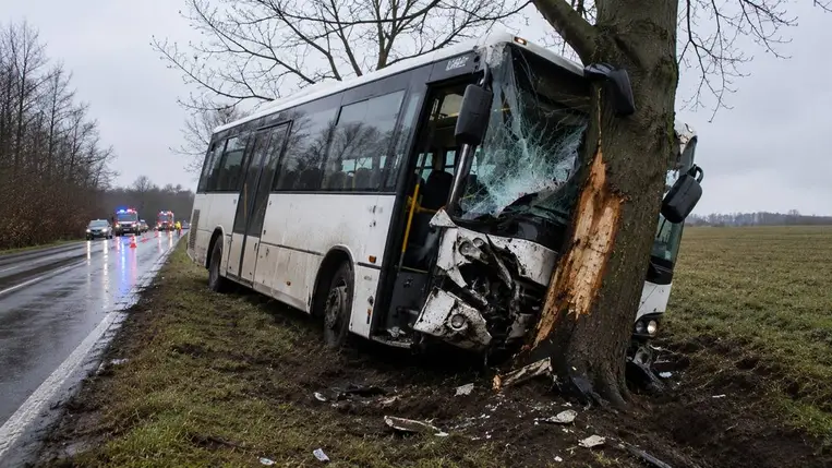 Fának csapódott egy busz Pécsnél, tizenévesek is megsérültek. Fotó: Illusztráció. karpatinfo.net