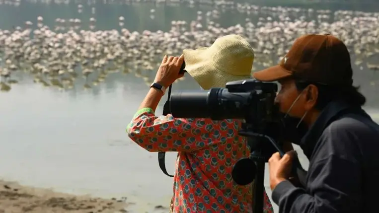 Kiderült, melyik hobbi védi leginkább az agyat