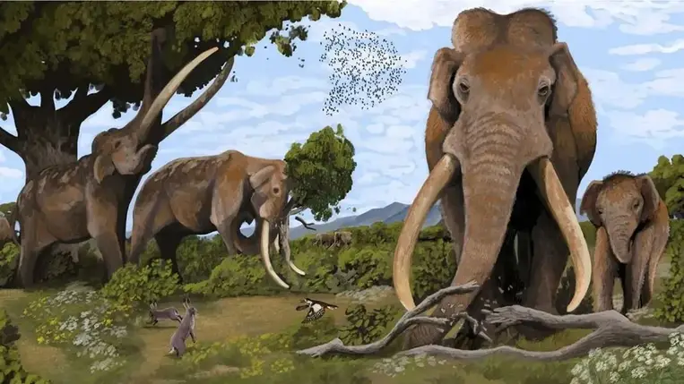 Kiderült, mire vadászhattak a neandervölgyiek: erre még a tudósok sem számítottak