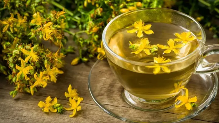 Orbáncfű: vigyázz vele, ha ezeket a gyógyszereket szeded