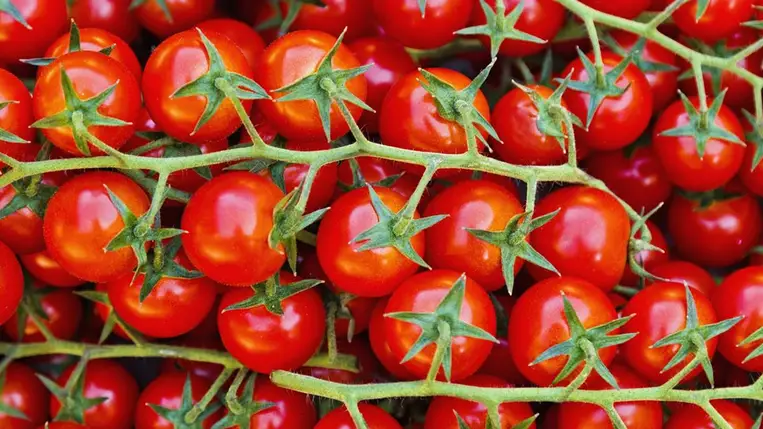 Védi a szívet, lassítja a bőr öregedését, és még finom is – Így fogyaszd a paradicsomot