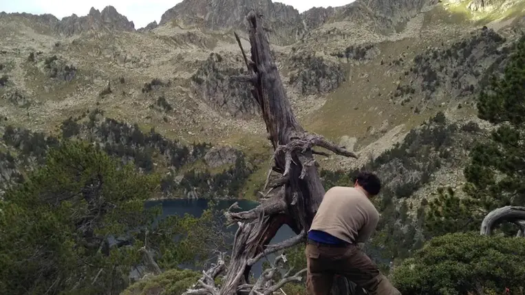 Vulkánkitörések által beindított események sorozata idézte elő a pestist Európában