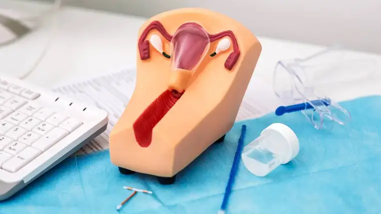 Meglepő felfedezés: a petefészek menopauza után is aktív maradhat