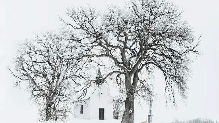 Isten békéje születik, nem a világé. Illusztráció. Fotó: Pexels