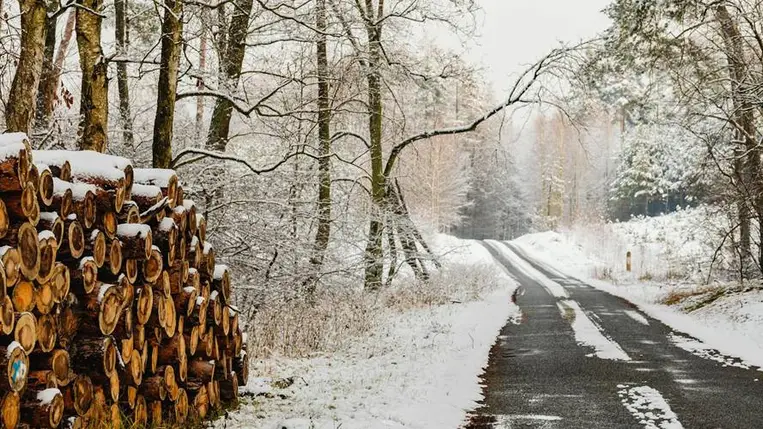 Az Út Betlehem felé. Illusztráció. Fotó: Pexels