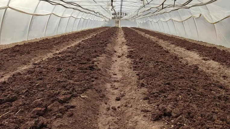 A fóliaházak talajainak javítása, termőképességének megőrzése, növelése