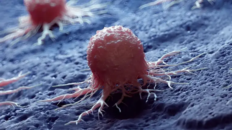 Nagyon aggasztó dolog derült ki a rákról – nem vagyunk felkészülve arra, ami jön