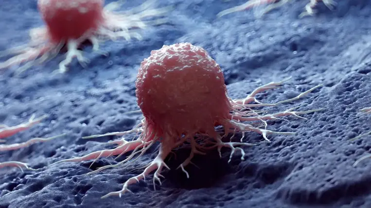 Leleplezik a rák legnagyobb titkát: így alakul ki a betegség a testben