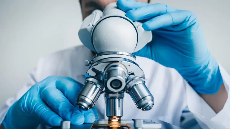 Kutatás ( Illusztráció )